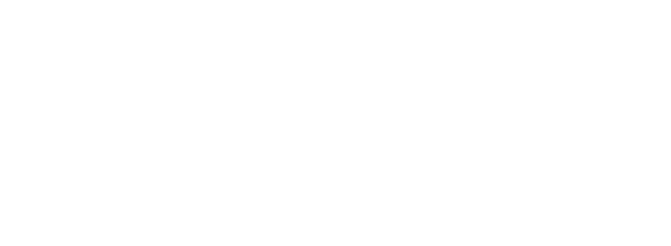 What we can expect from the new government